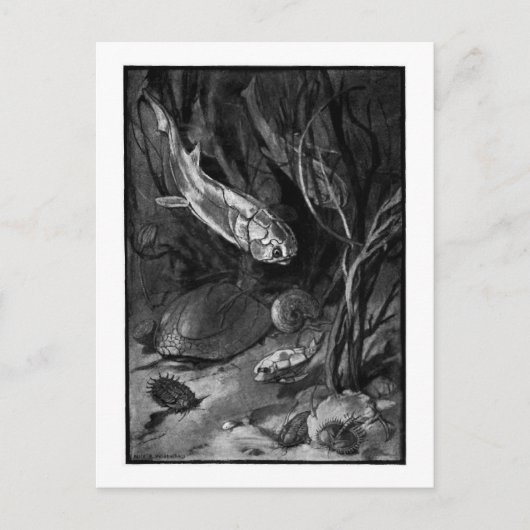 Alice B. Woodward: Devonian Period art briefkaart (Voorkant)