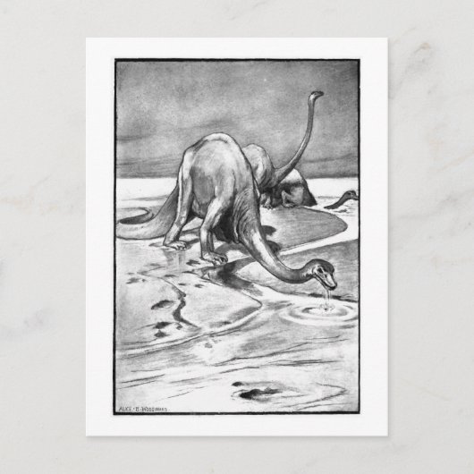 Alice B. Woodward: Diplodocus art briefkaart (Voorkant)