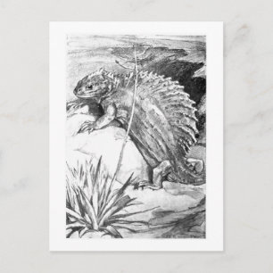 Alice B. Woodward: Edaphosaurus art briefkaart