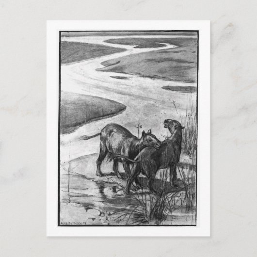 Alice B. Woodward: Hyracotherium briefkaart (Voorkant)