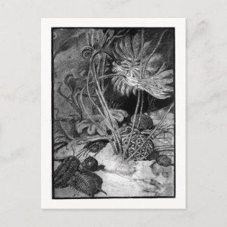 Alice B. Woodward: Ordoviciens Marine art briefkaa Briefkaart