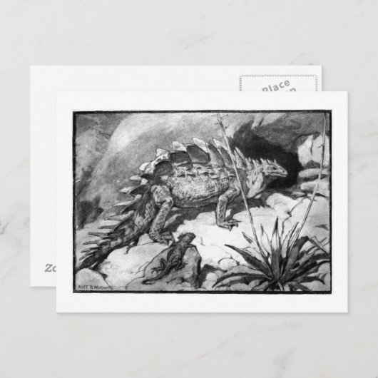 Alice B. Woodward: Stegosaurus art briefkaart (Voorkant / Achterkant)