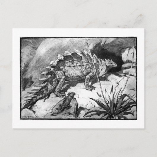 Alice B. Woodward: Stegosaurus art briefkaart (Voorkant)