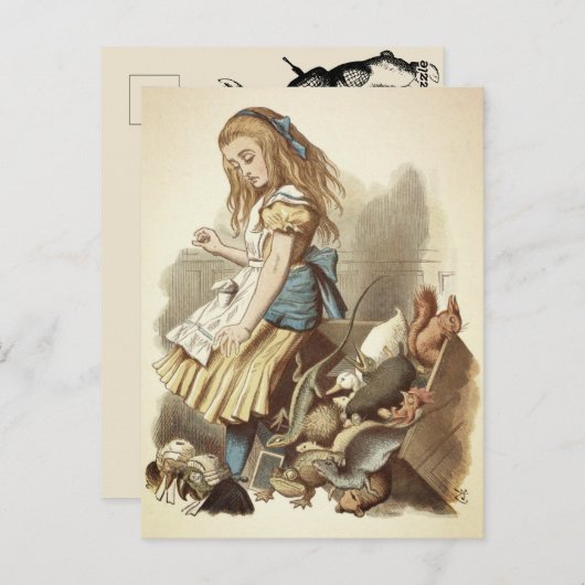 Alice Briefkaart (Voorkant / Achterkant)