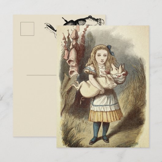 Alice Briefkaart (Voorkant / Achterkant)