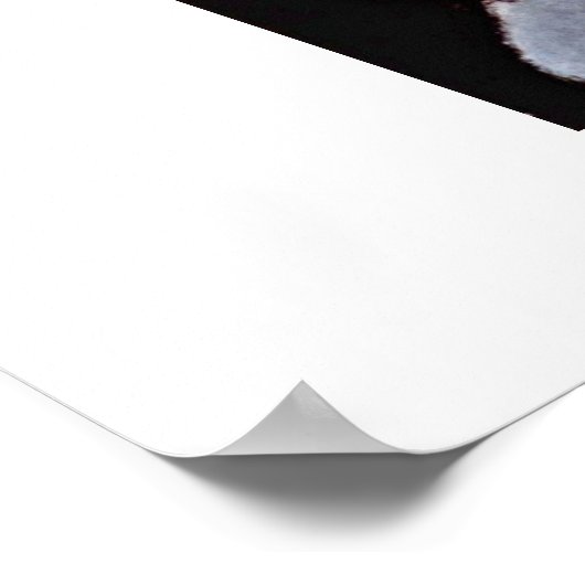 Alice by Amedeo Modigliani Poster (Hoek)