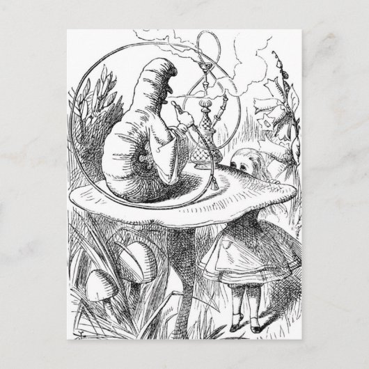 Alice die naar boven kijkt naar de Caterpaal Briefkaart (Voorkant)