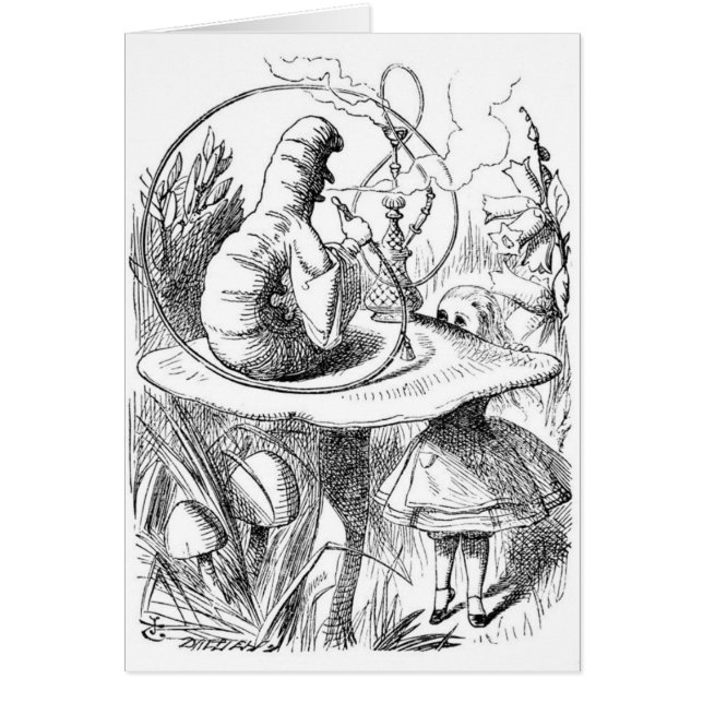 Alice en de Caterpijler (Voorkant)