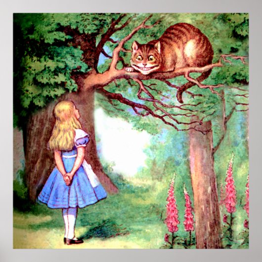 Alice en de Cheshire Cat in Wonderland Poster (Voorkant)