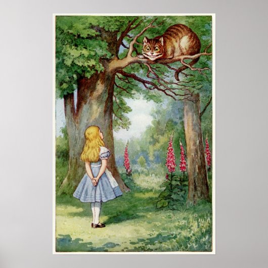 Alice en de Cheshire Cat Poster (Voorkant)