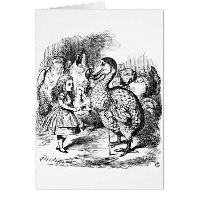 Alice en de Dodo (Voorkant)