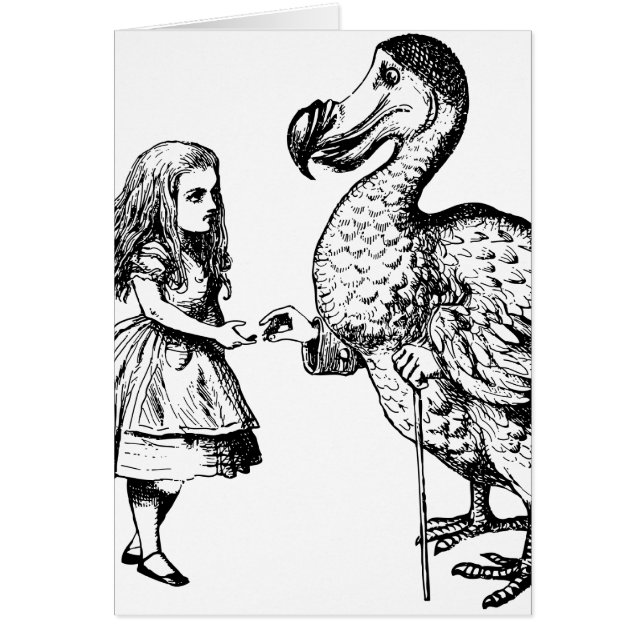 Alice en de Dodo (Voorkant)