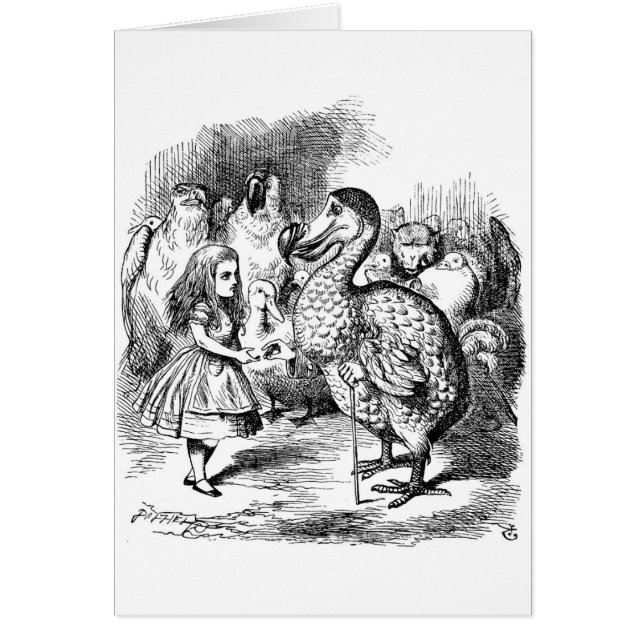Alice en de Dodo Bird (Voorkant)