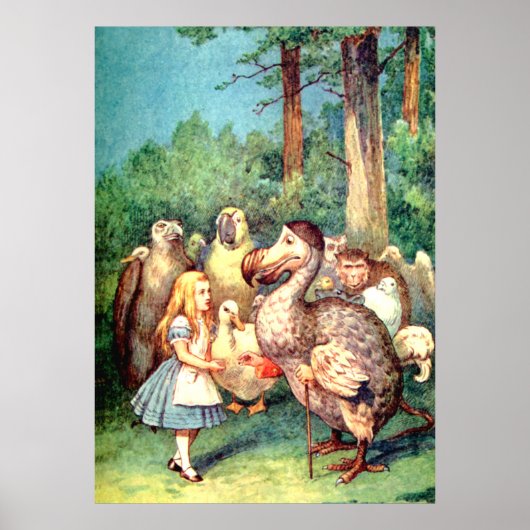 Alice en de Dodo-vogel in Wonderland Poster (Voorkant)