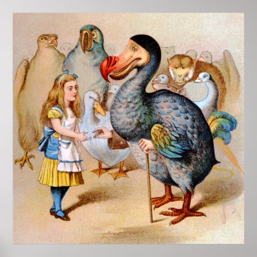 Alice en de Dodo-vogel in Wonderland Poster (Voorkant)