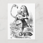 Alice en de Flamingo Briefkaart (Voorkant)