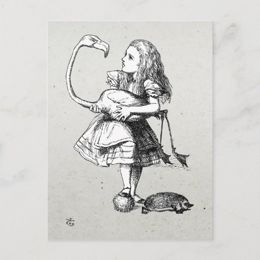 Alice en de Flamingo Briefkaart (Voorkant)