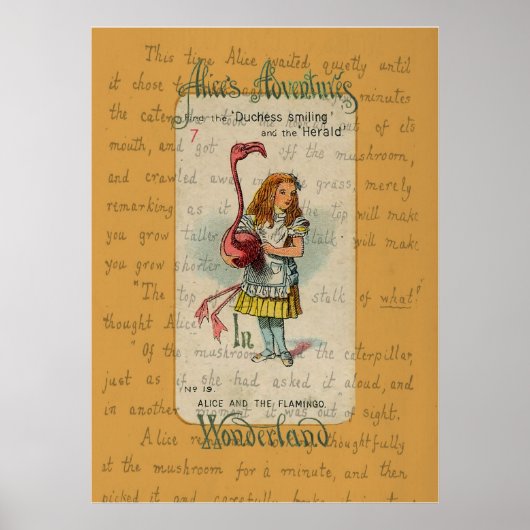 Alice en de Flamingo Poster (Voorkant)
