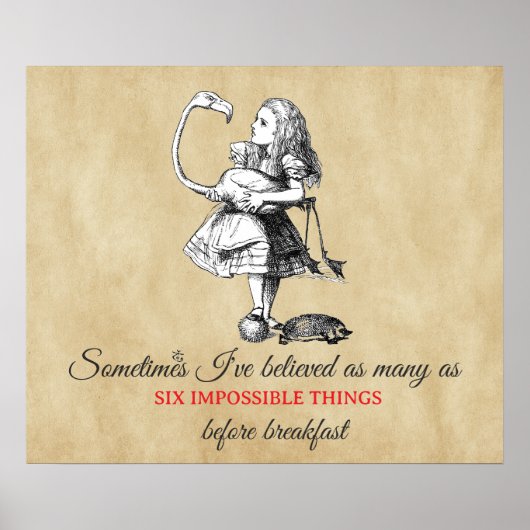 Alice en de flamingo poster (Voorkant)