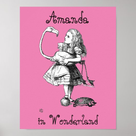Alice en de Flamingo ( roze broer ) Poster (Voorkant)