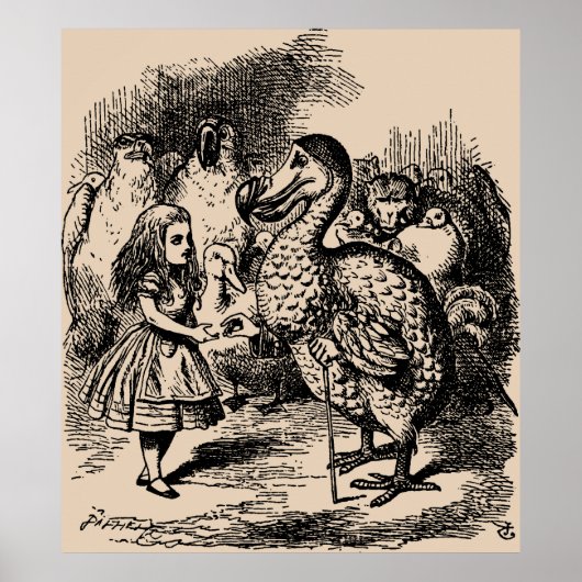 Alice en Dodo Birds Poster (Voorkant)
