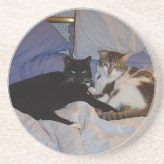 Alice en Sydney Zandsteen Onderzetter (Voorkant)