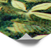 Alice Encounters Talking Flowers in Wonderland Poster (Hoek)