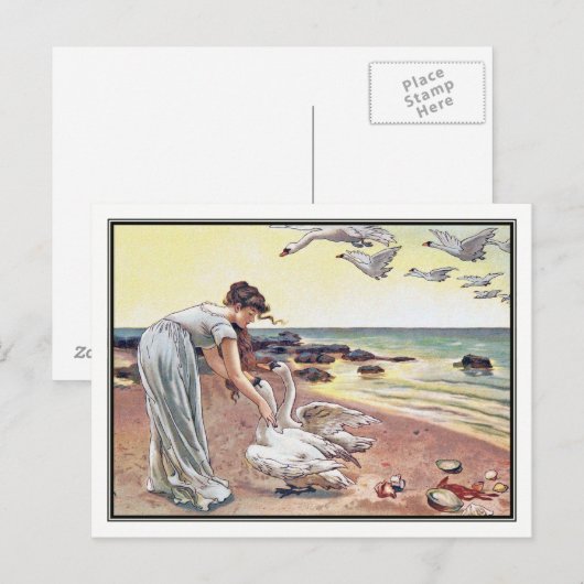 Alice Havers - De witte zwanen Briefkaart (Voorkant / Achterkant)