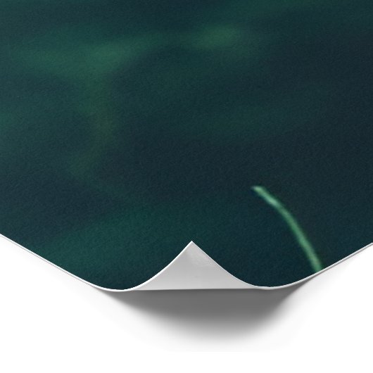 Alice in het bos Mode Verlopen Film Mode Poster (Hoek)