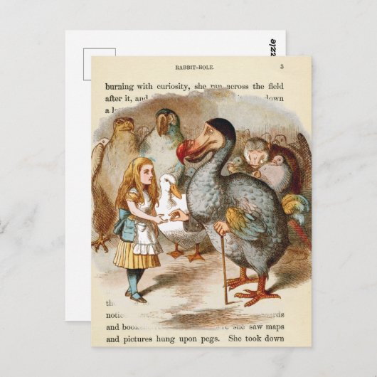 Alice in het Briefkaart Wonderland (Voorkant / Achterkant)