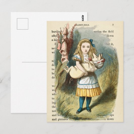 Alice in het Briefkaart Wonderland (Voorkant / Achterkant)