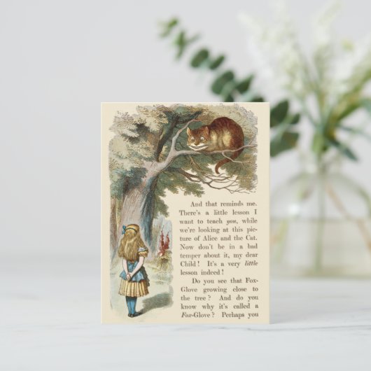 Alice in het Briefkaart Wonderland (Staand voorkant)