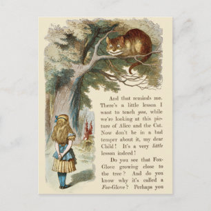  Alice in het Briefkaart Wonderland