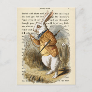  Alice in het Briefkaart Wonderland