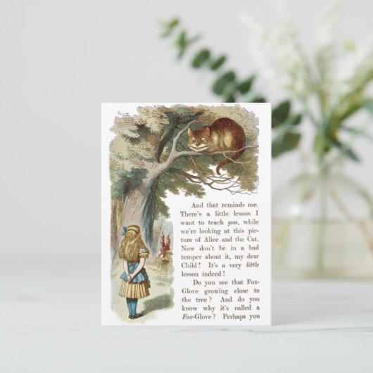  Alice in het Briefkaart Wonderland (Staand voorkant)