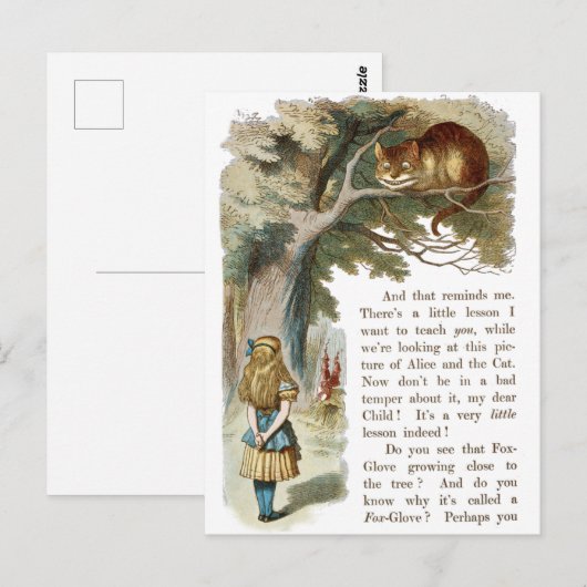 Alice in het Briefkaart Wonderland (Voorkant / Achterkant)