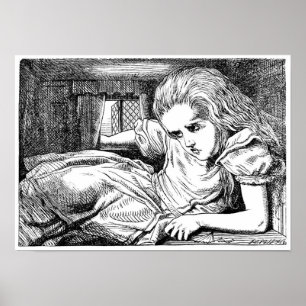 Alice in het Witte konijnenhuis Poster