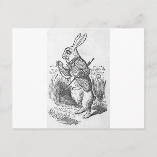 Alice in Sprookjesland 2.5 Briefkaart (Voorkant)