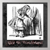 Alice in Wonderland 11 Poster (Voorkant)