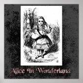 Alice in Wonderland 22 Poster (Voorkant)