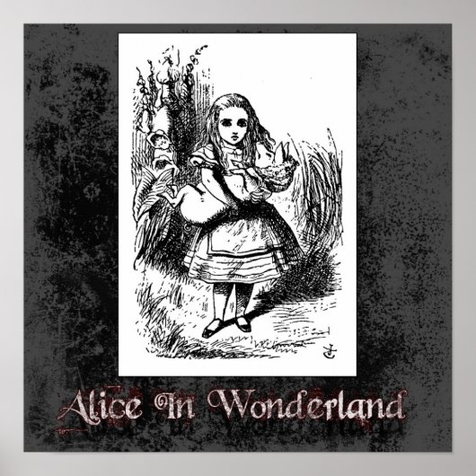 Alice in Wonderland 22 Poster (Voorkant)