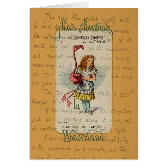 Alice in Wonderland: Alice en de Flamingo (Voorkant)