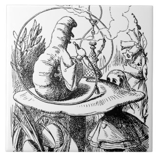 Alice in Wonderland - Alice ontmoet de centrale pi Tegeltje