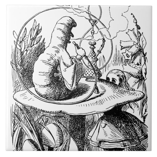 Alice in Wonderland - Alice ontmoet de centrale pi Tegeltje (Voorkant)