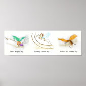 Alice in Wonderland Bugs Poster (Voorkant)