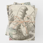 Alice in Wonderland Caterpillar: originele Tenniel Inpakpapier Vel (In situ)