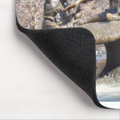 Alice in Wonderland Central Park Muismat (Hoek)