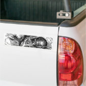  Alice in Wonderland, Cheshire Cat Bumpersticker (Op Truck)