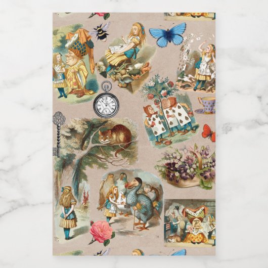 Alice in Wonderland Cheshire Cat Characters Voedselcontainer Etiket (Enkel label)