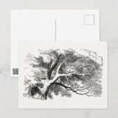 Alice in Wonderland - Cheshire Cat Fading to Smile Briefkaart (Voorkant / Achterkant)